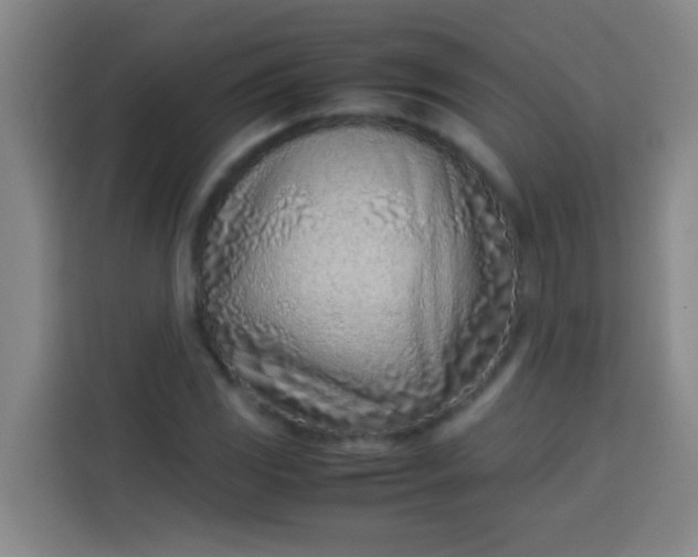 X0000113541117200910021344