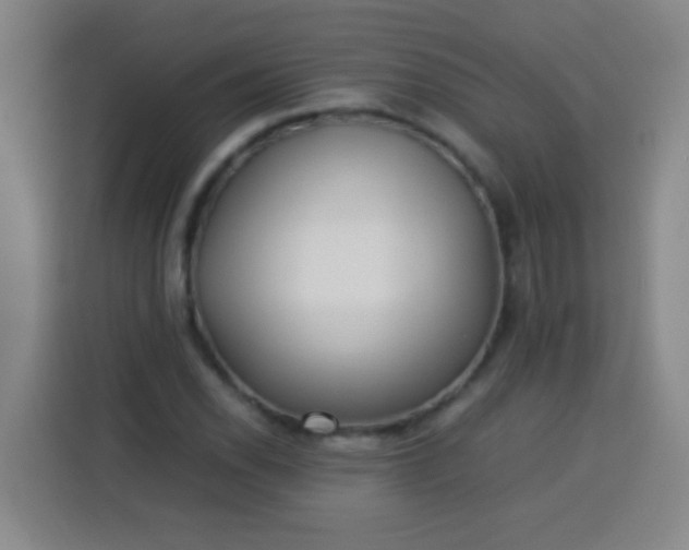 X0000113541118200910021344