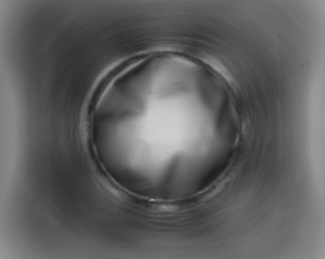 X0000113541119200910021344