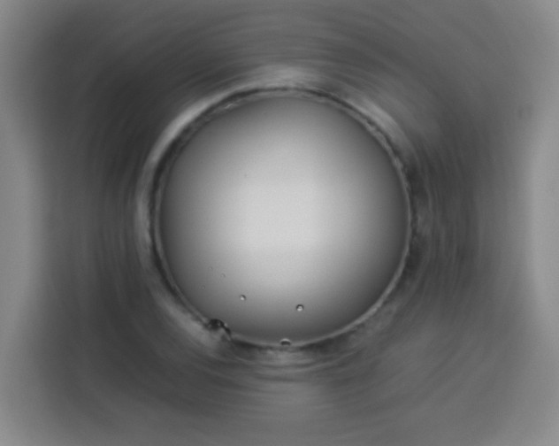 X0000113541120200910021344