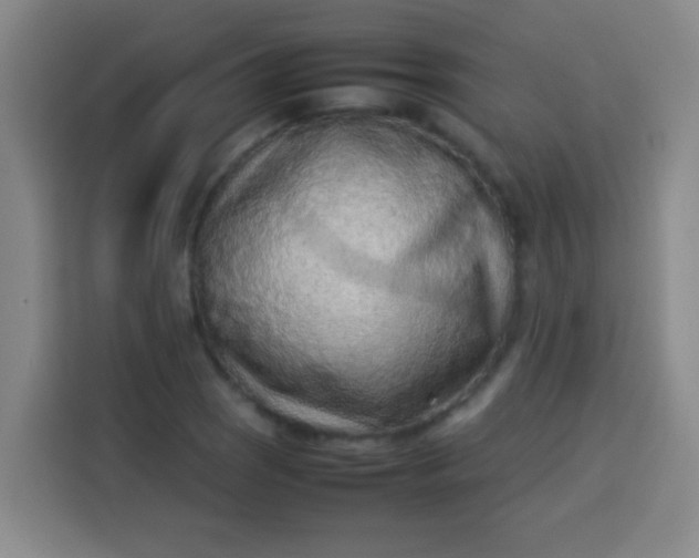 X0000113541121200910021344