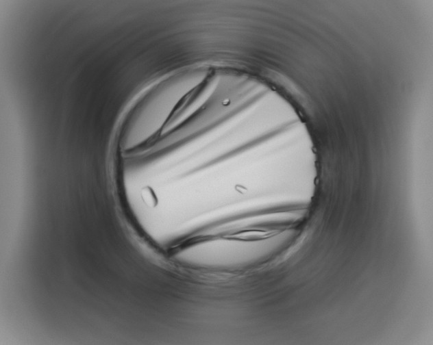 X0000113541122200910021344