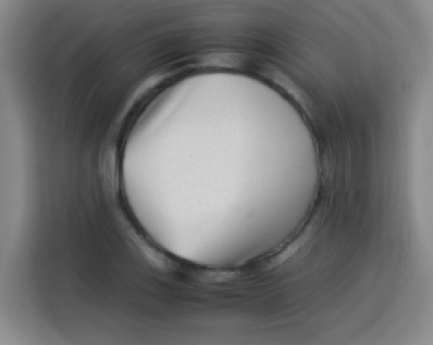 X0000113541123200910021344