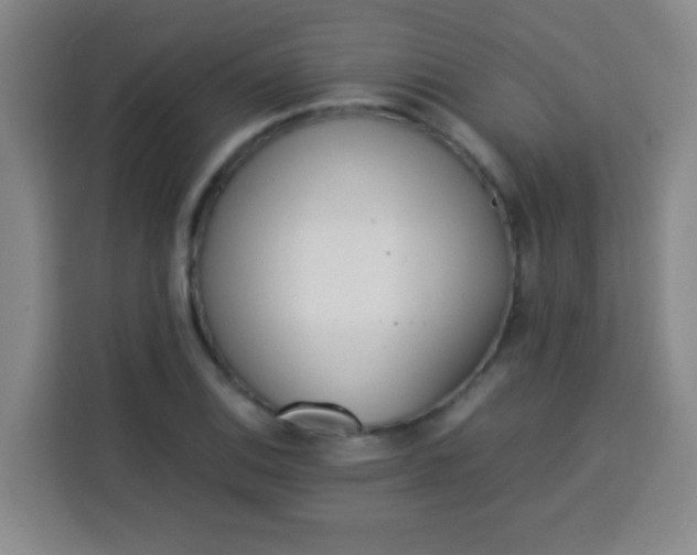 X0000113541124200910021344