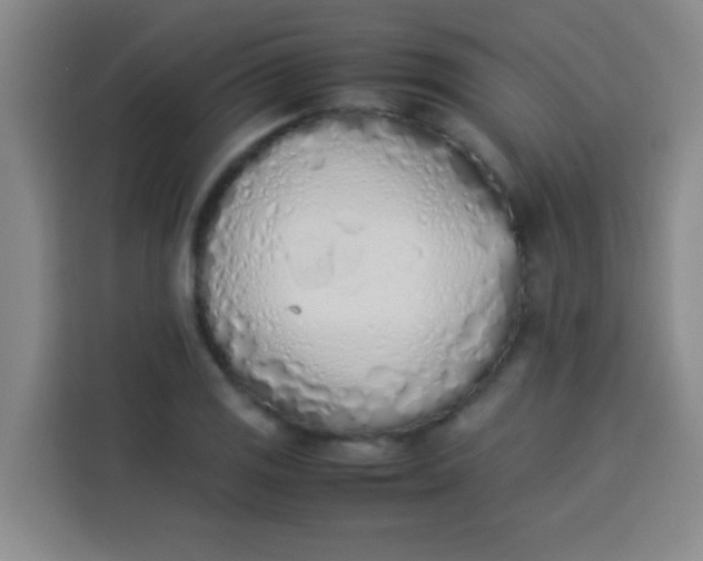 X0000113541125200910021344