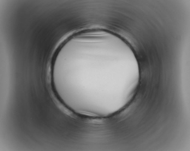 X0000113541126200910021344