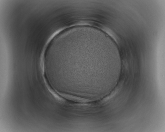 X0000113541127200910021344