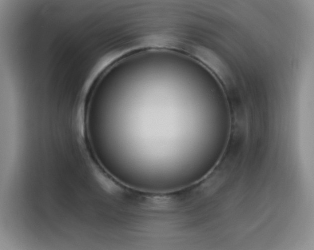 X0000113541128200910021344