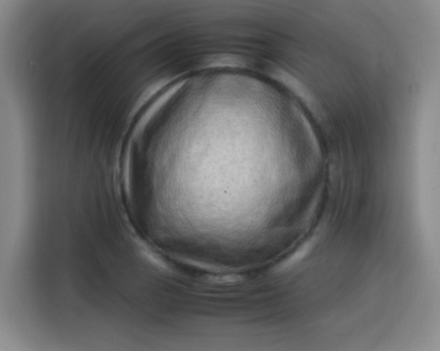 X0000113541129200910021344