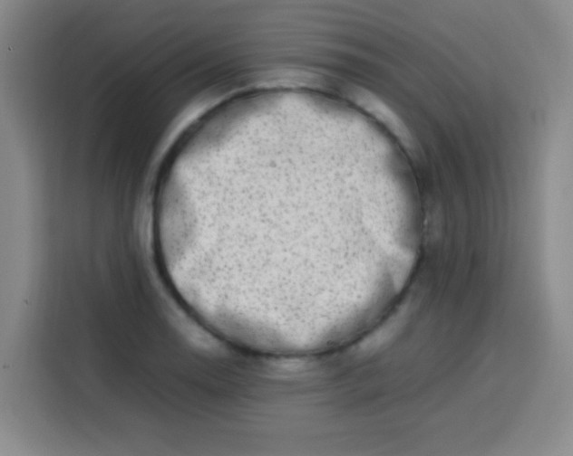 X0000113541130200910021344