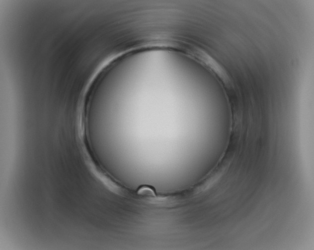 X0000113541132200910021344