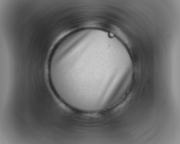 X0000113541133200910021344