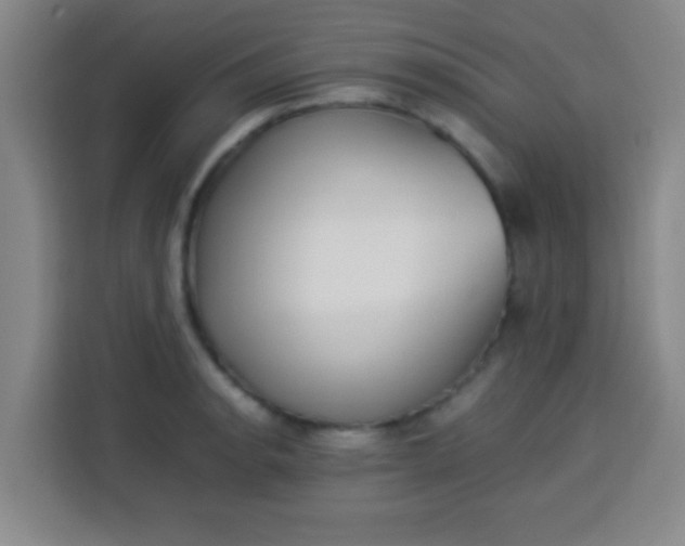 X0000113541134200910021344