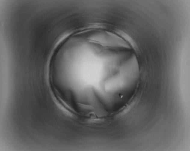 X0000113541135200910021344