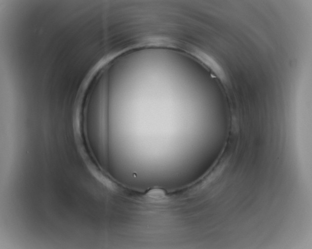 X0000113541136200910021344