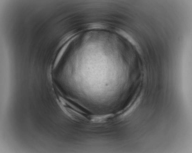 X0000113541137200910021344