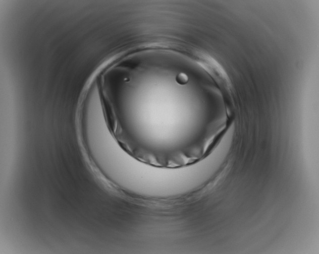 X0000113541138200910021344