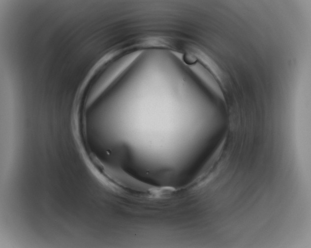 X0000113541139200910021344