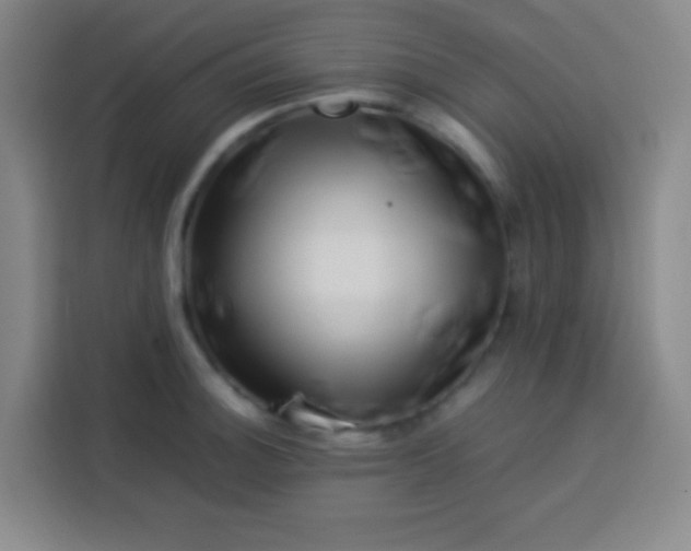 X0000113541140200910021344