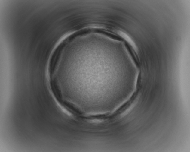 X0000113541141200910021344