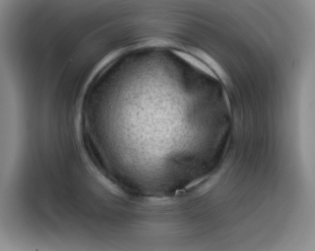 X0000113541142200910021344