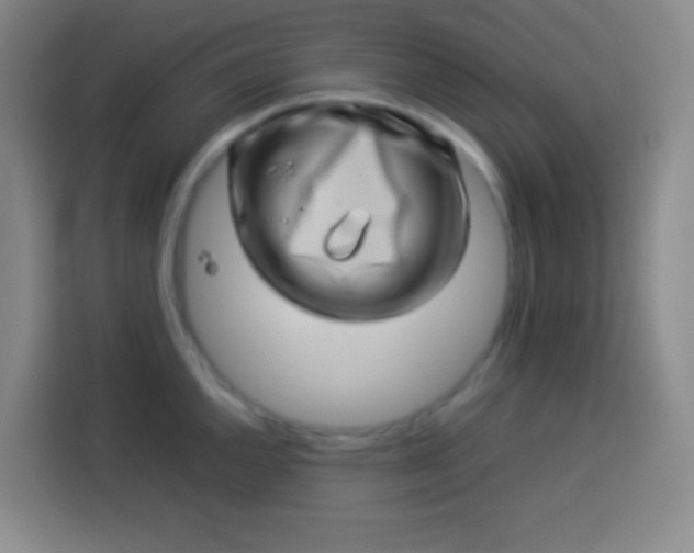 X0000113541144200910021344