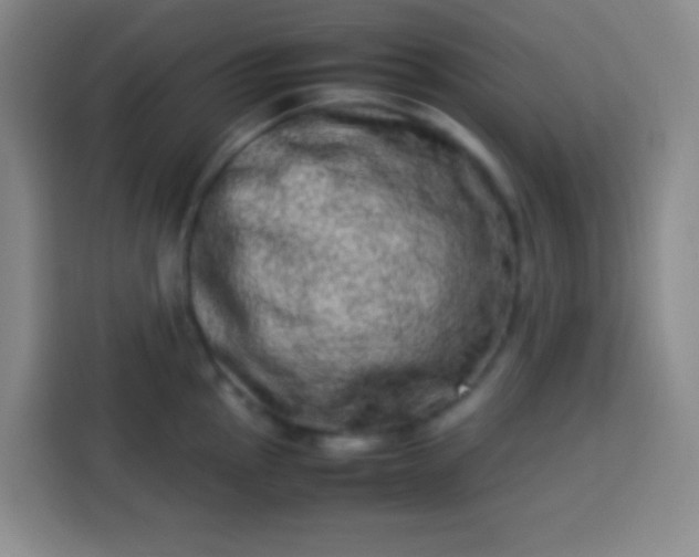 X0000113541145200910021344