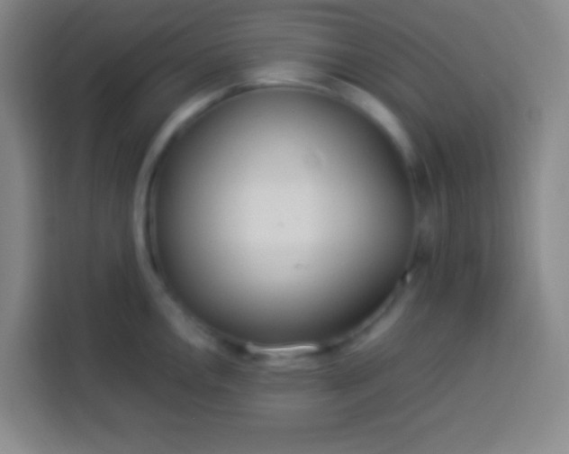 X0000113541146200910021344