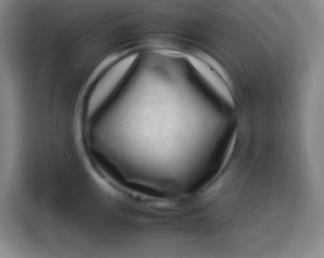 X0000113541147200910021344