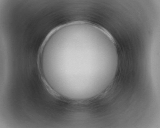 X0000113541148200910021344