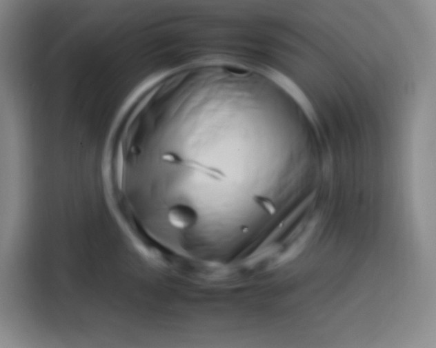 X0000113541149200910021344