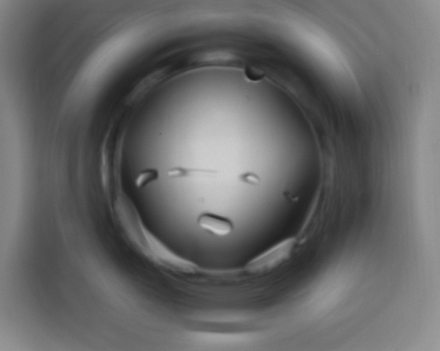 X0000113541151200910021344