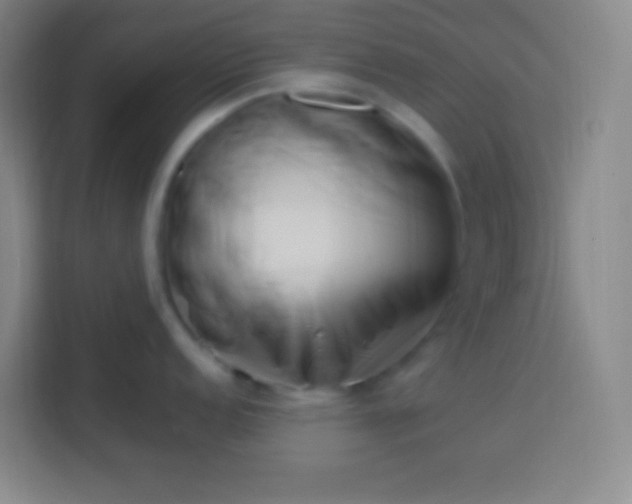 X0000113541152200910021344