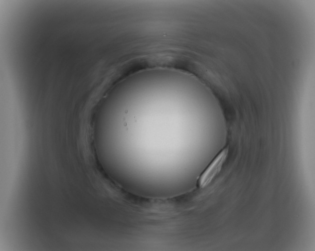 X0000113541153200910021344