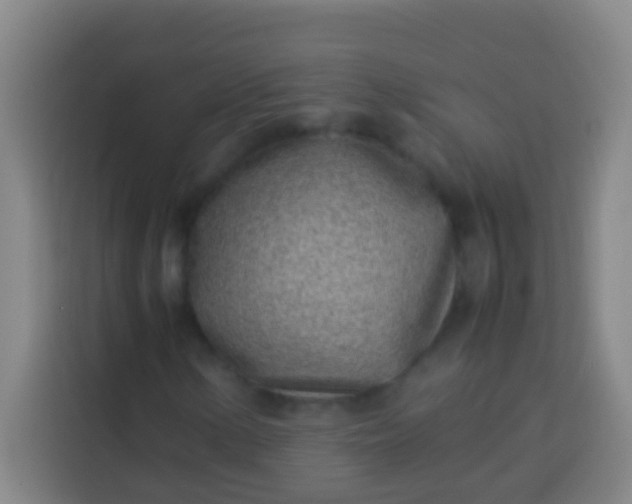 X0000113541154200910021344