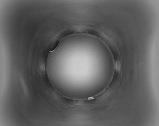 X0000113541155200910021344