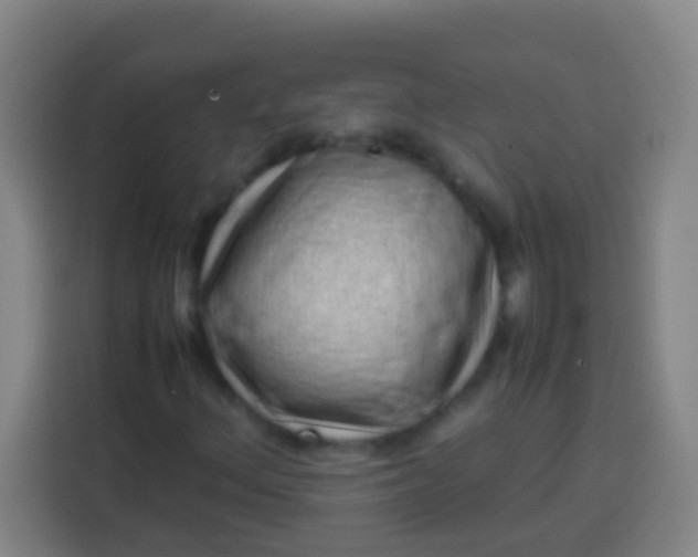 X0000113541156200910021344