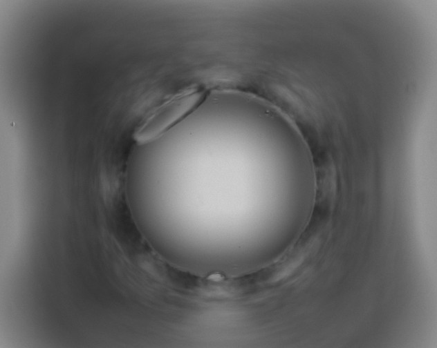 X0000113541157200910021344