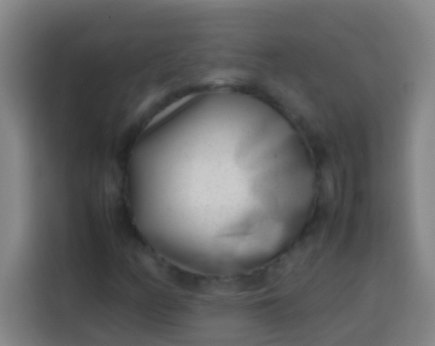 X0000113541158200910021344