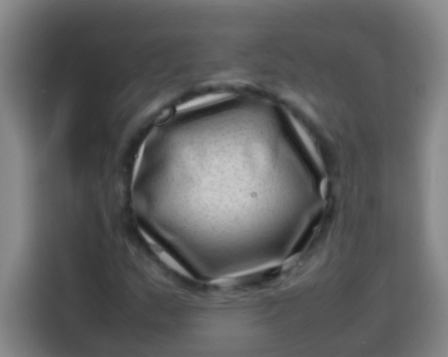 X0000113541159200910021344