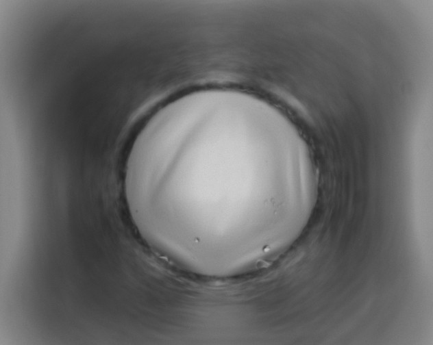 X0000113541160200910021344