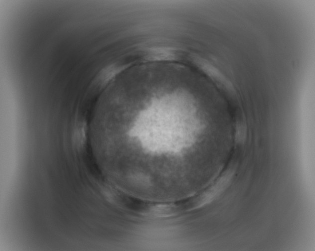 X0000113541161200910021344