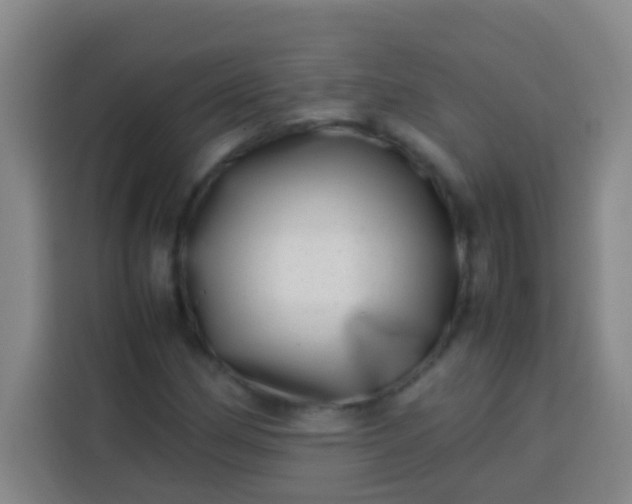 X0000113541162200910021344