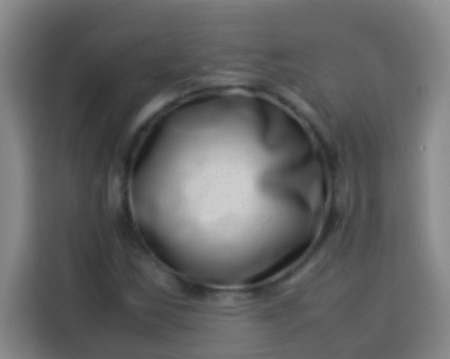 X0000113541163200910021344