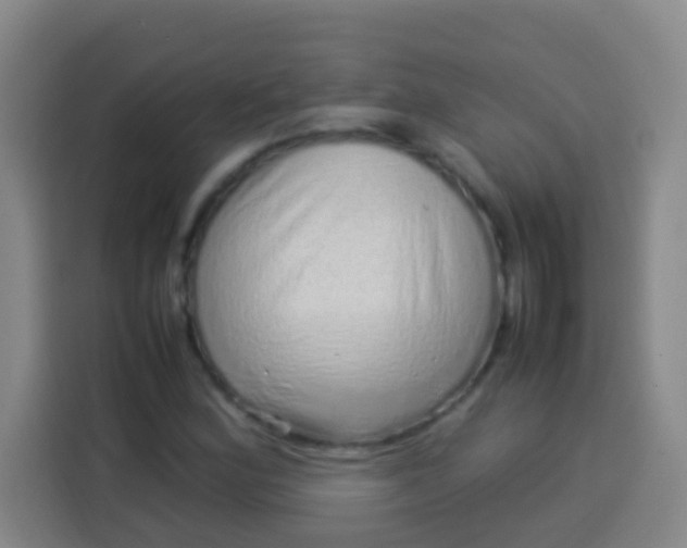 X0000113541164200910021344