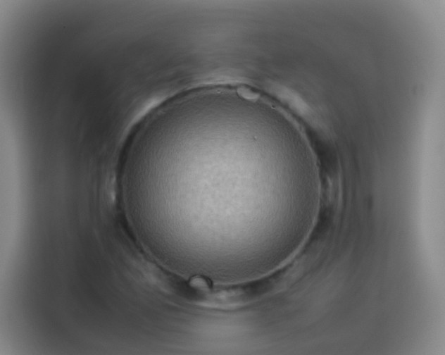 X0000113541165200910021344