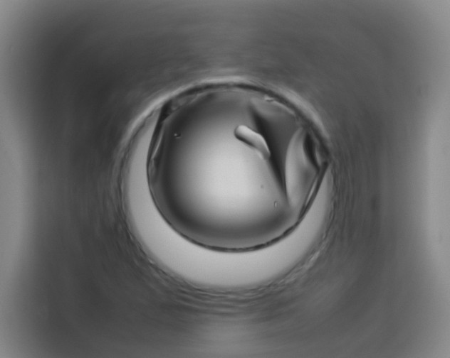 X0000113541167200910021343