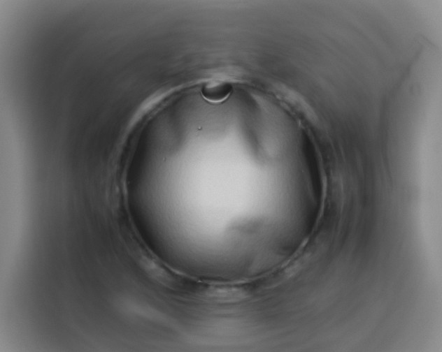 X0000113541168200910021343