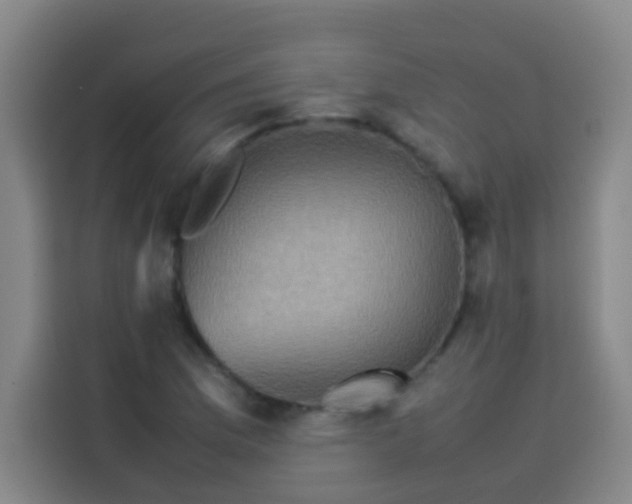 X0000113541169200910021343