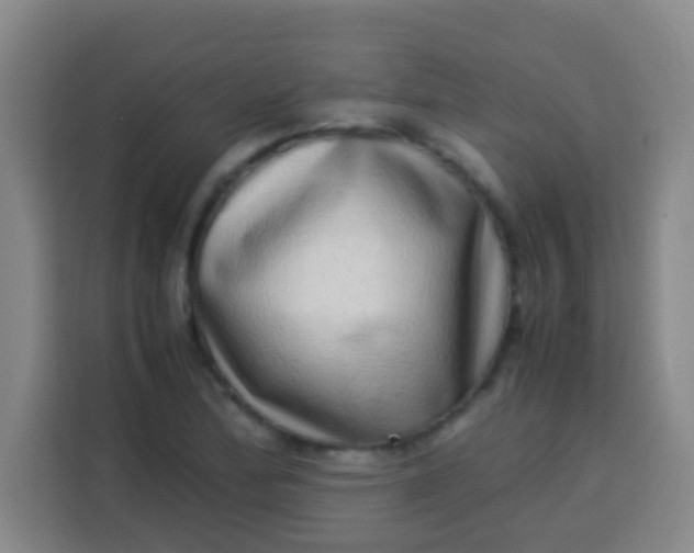 X0000113541172200910021343